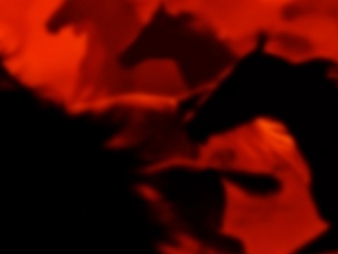 Hektor Werios FILM