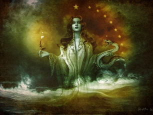 Hektor Werios Film Fotografia Rysunek Animacja