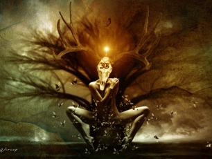 Hektor Werios Film Fotografia Rysunek Animacja