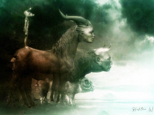 Hektor Werios Film Fotografia Rysunek Animacja