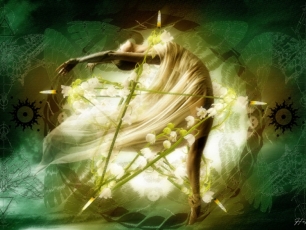 Hektor Werios Film Fotografia Rysunek Animacja