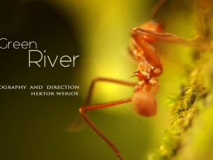 Hektor Werios Film Fotografia Rysunek Animacja